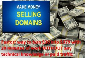 make money in 20 min by selling domains